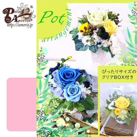 ポットアレンジ