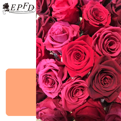 フレッシュフラワー　ラウンドアレンジメント